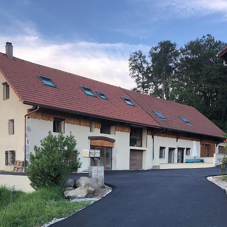 Appartamento T4 Meuble De 105M2 Axe Annecy-Geneve Saint-Martin-Bellevue Esterno foto
