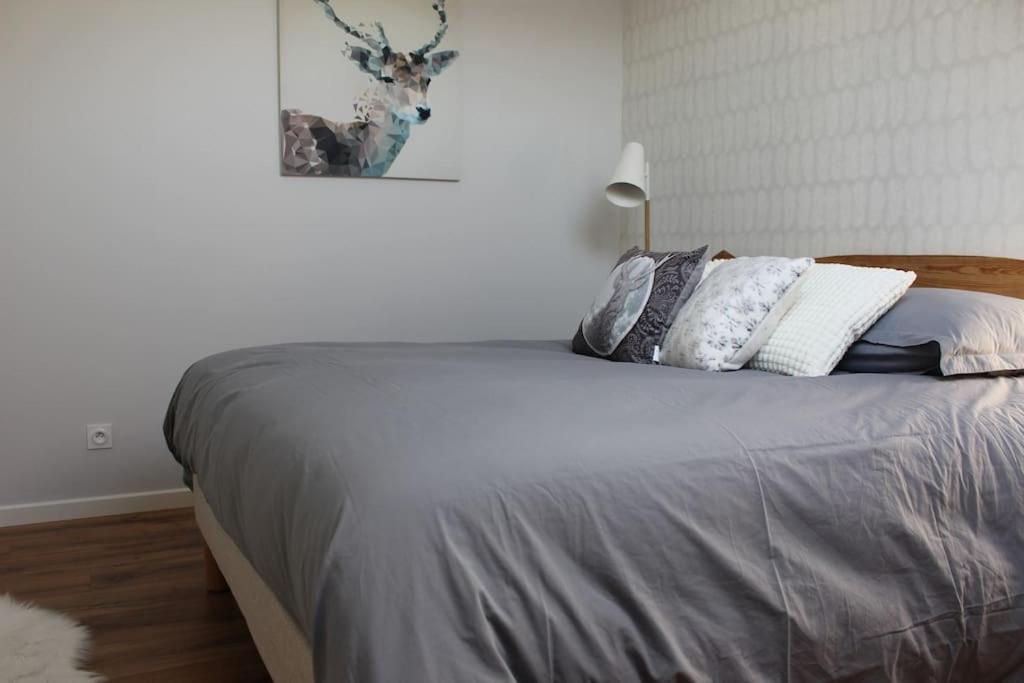 Appartamento T4 Meuble De 105M2 Axe Annecy-Geneve Saint-Martin-Bellevue Esterno foto
