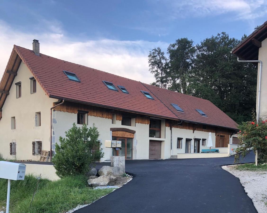 Appartamento T4 Meuble De 105M2 Axe Annecy-Geneve Saint-Martin-Bellevue Esterno foto